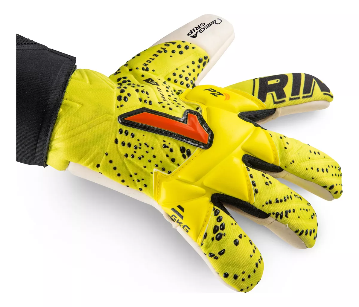Rinat xtreme guard dominius Alpha Axg - Imagen 5