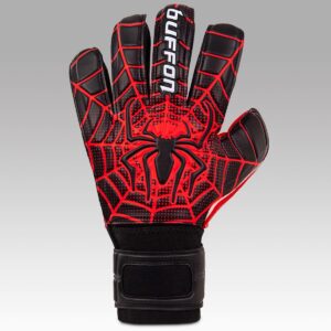 Buffon Spider 2